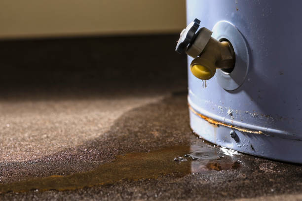 Best 24/7 water damage repair  in Plattsburgh West, NY