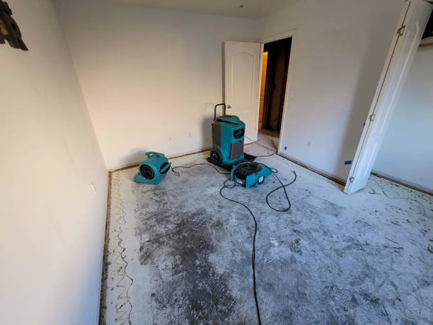 Best Water damage contractors near me  in Plattsburgh West, NY