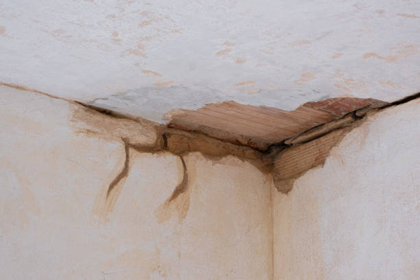 Best Carpet water damage restoration  in Plattsburgh West, NY