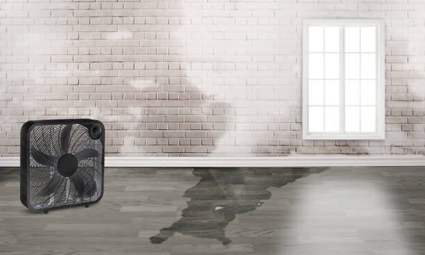 Best Commercial water damage restoration  in Plattsburgh West, NY