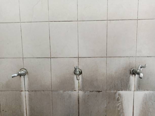 Best Emergency water damage restoration  in Plattsburgh West, NY