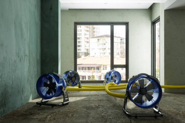Best Water damage cleanup near me  in Plattsburgh West, NY