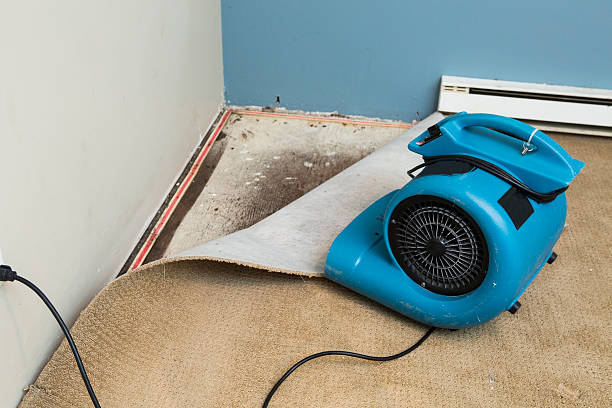 Best Sewage cleanup and water damage restoration  in Plattsburgh West, NY
